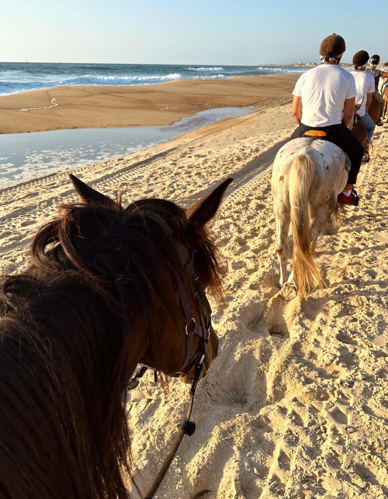 ホテル Aparra Surfcamp カップブルトン エクステリア 写真